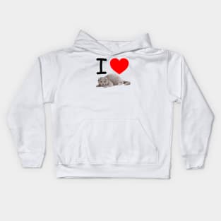 I Heart Grey Fuzzy Cat Kids Hoodie